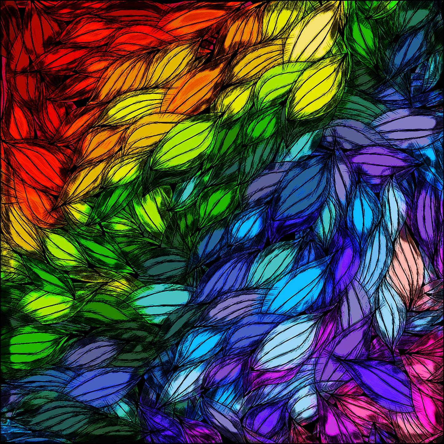 Colors