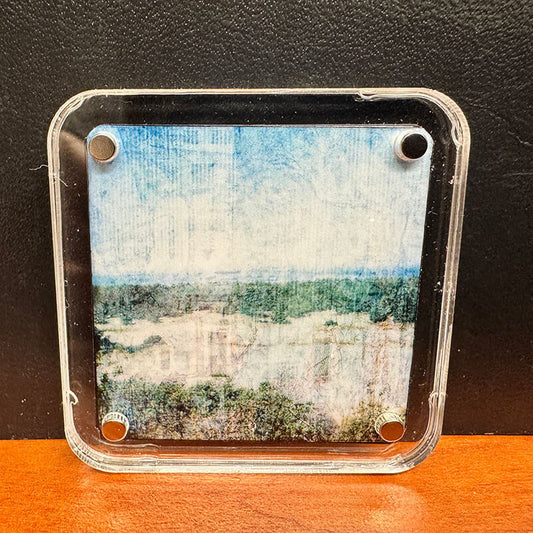 Oregon Abstract #4