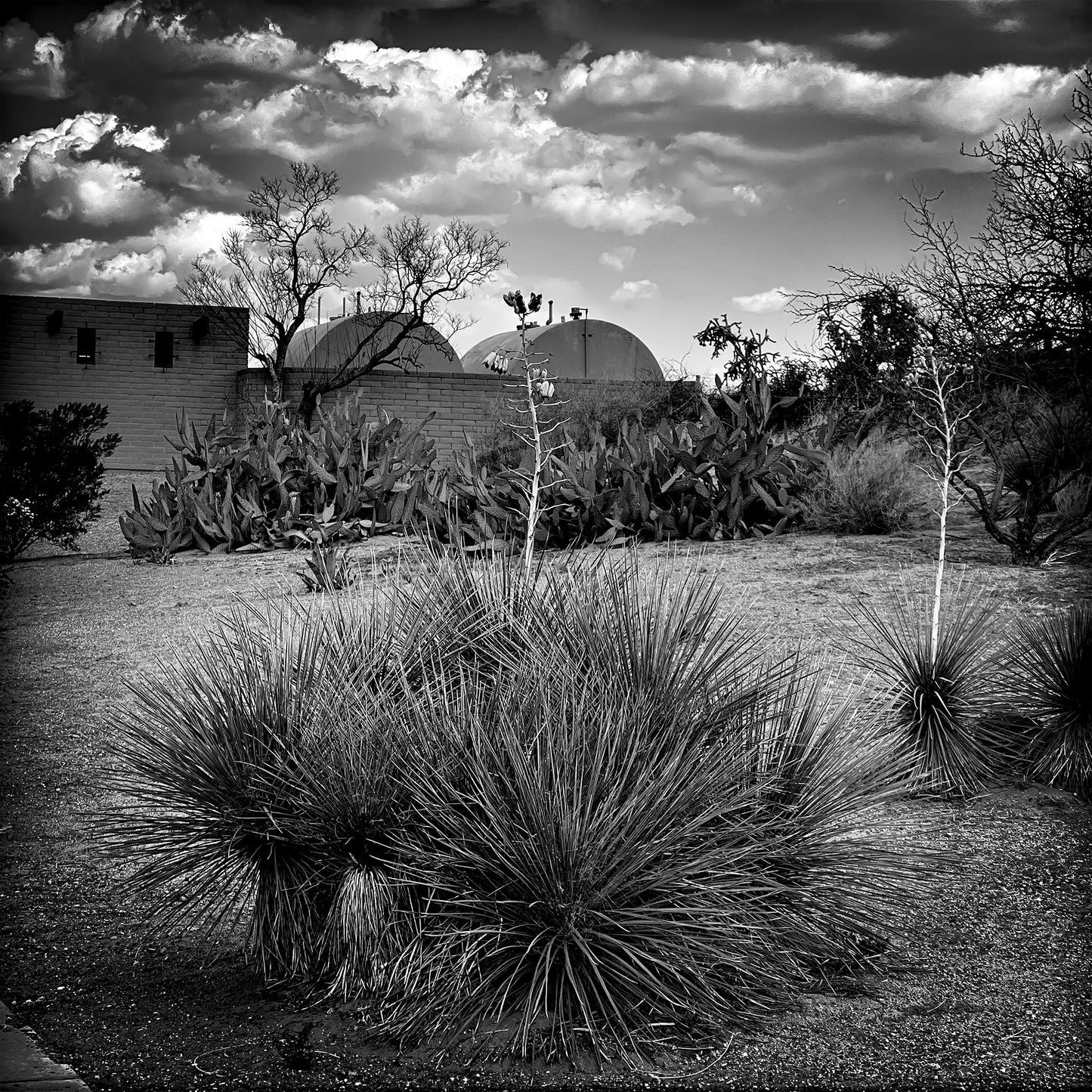 Somewhere in New Mexico #2