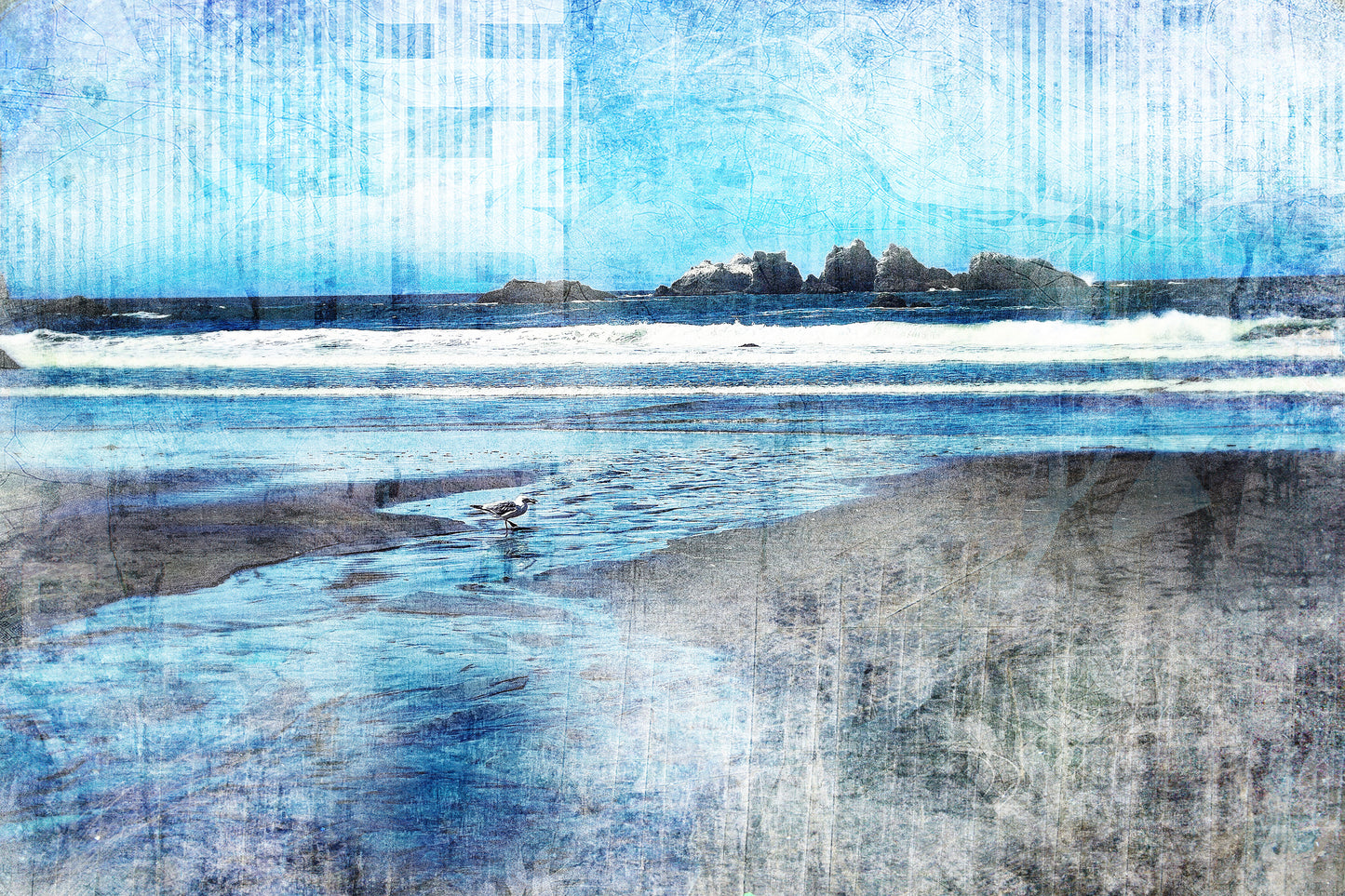 Brid on Beach