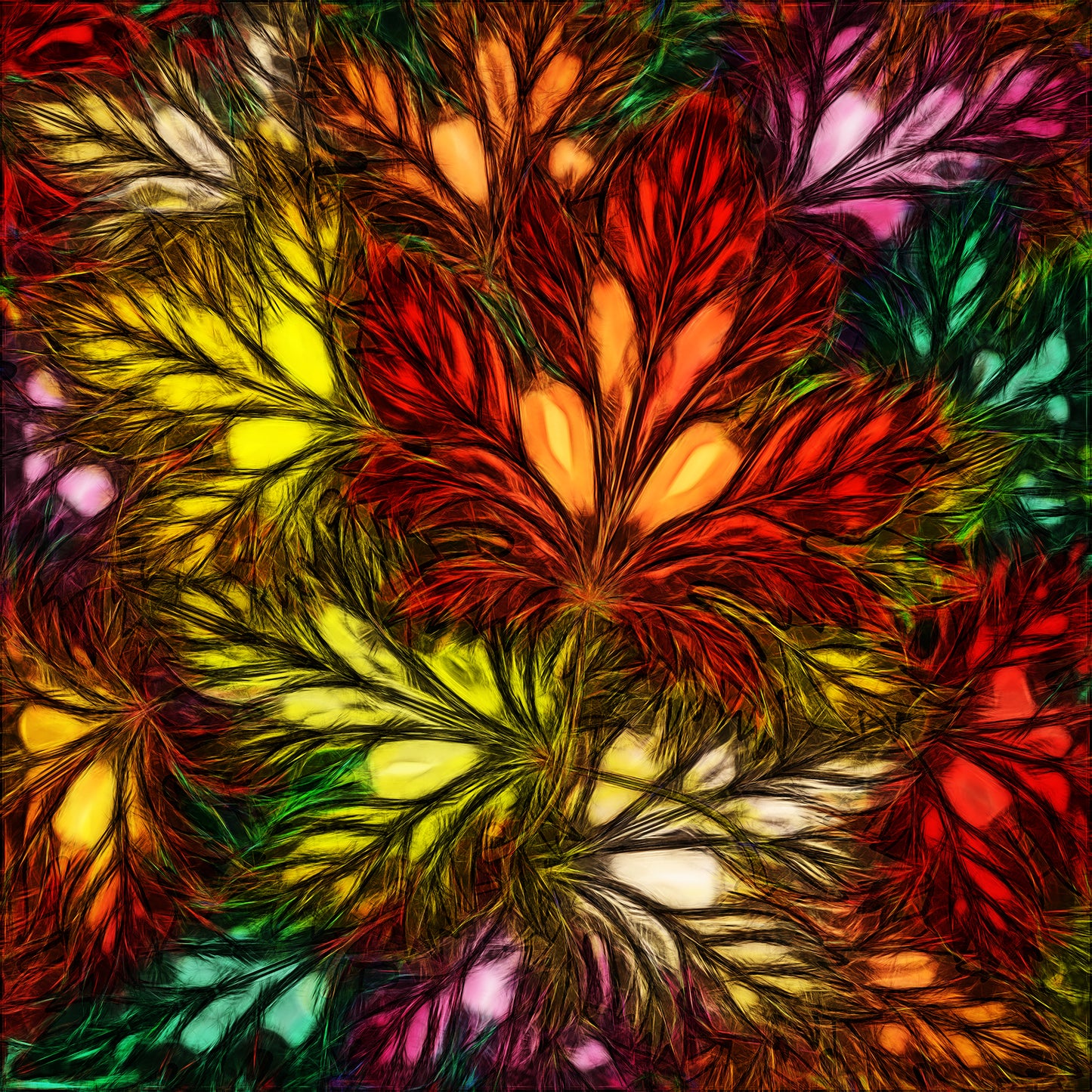 Shapes