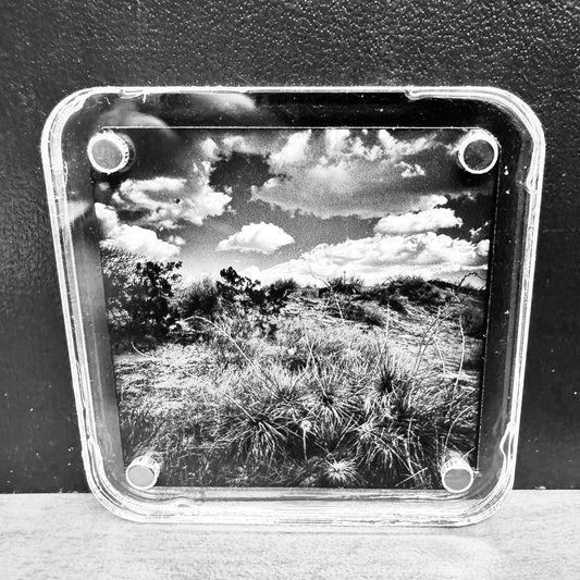 Somewhere in New Mexico #4