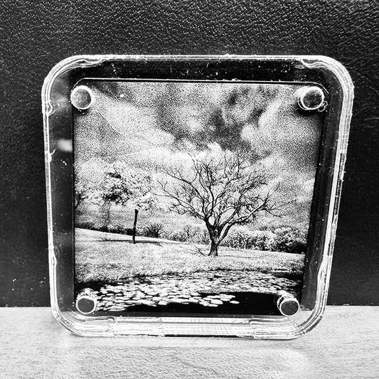 Tree #2