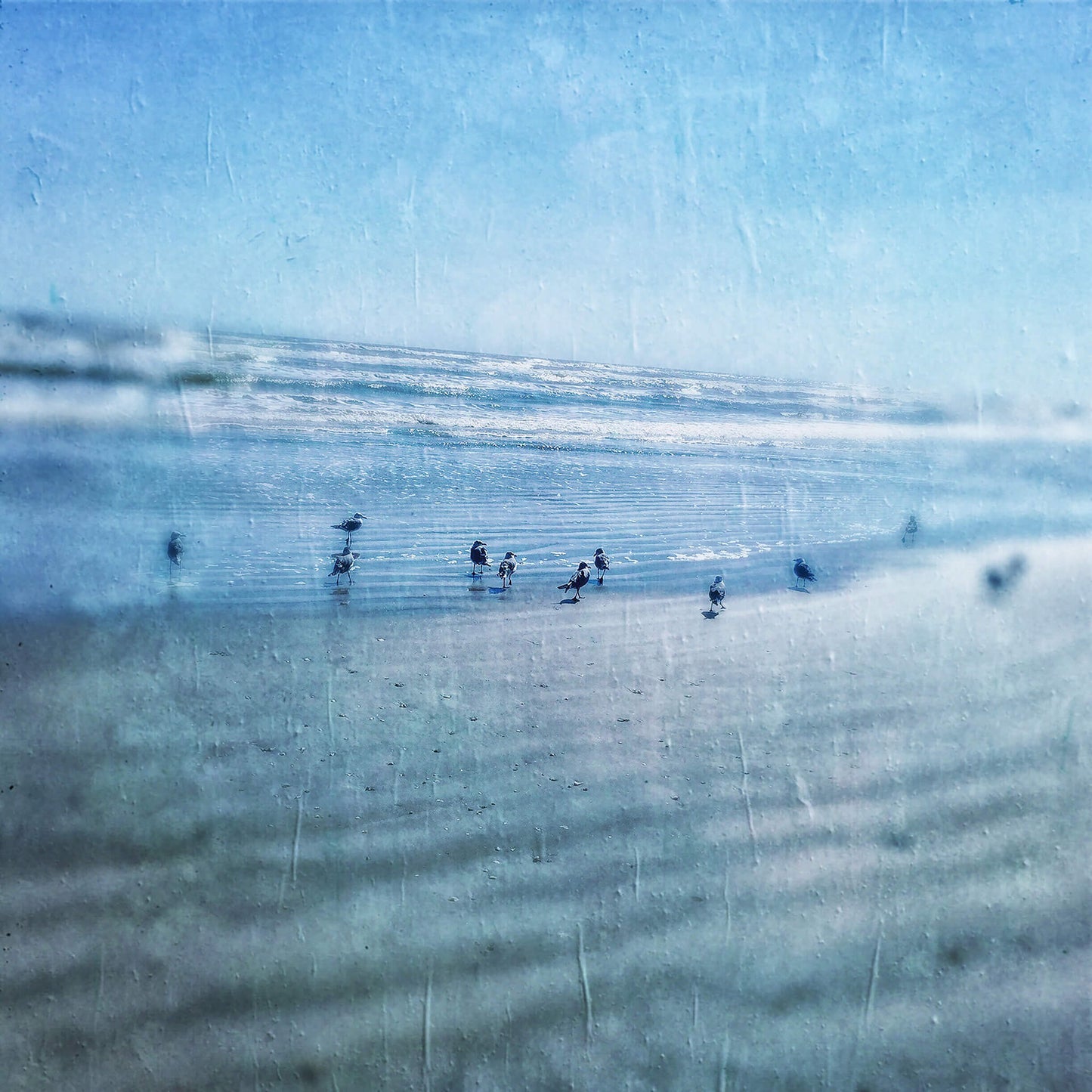 Beach Party