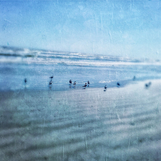 Beach Party