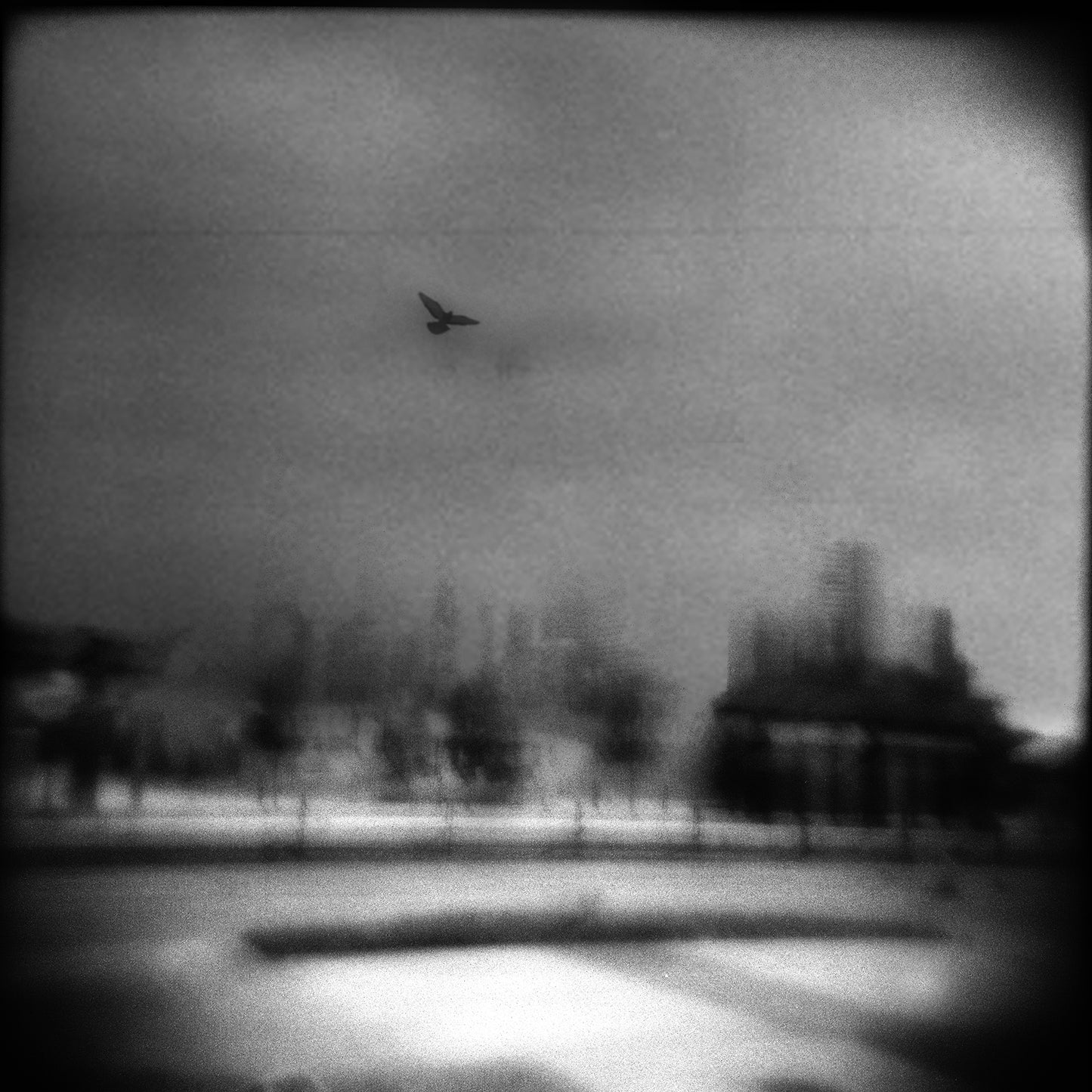 Solitude