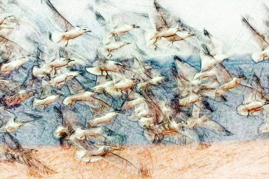 Inflight