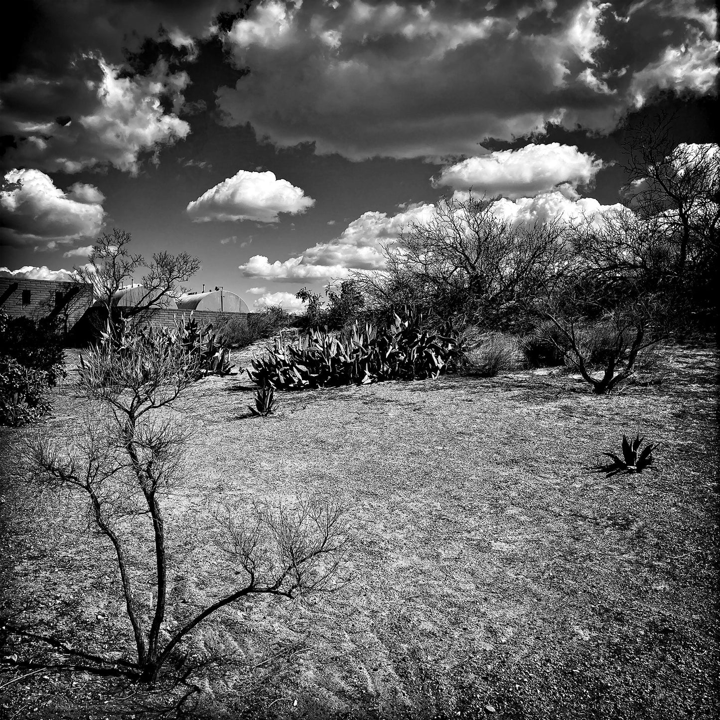 Somewhere in New Mexico #1
