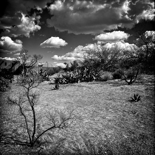 Somewhere in New Mexico #1