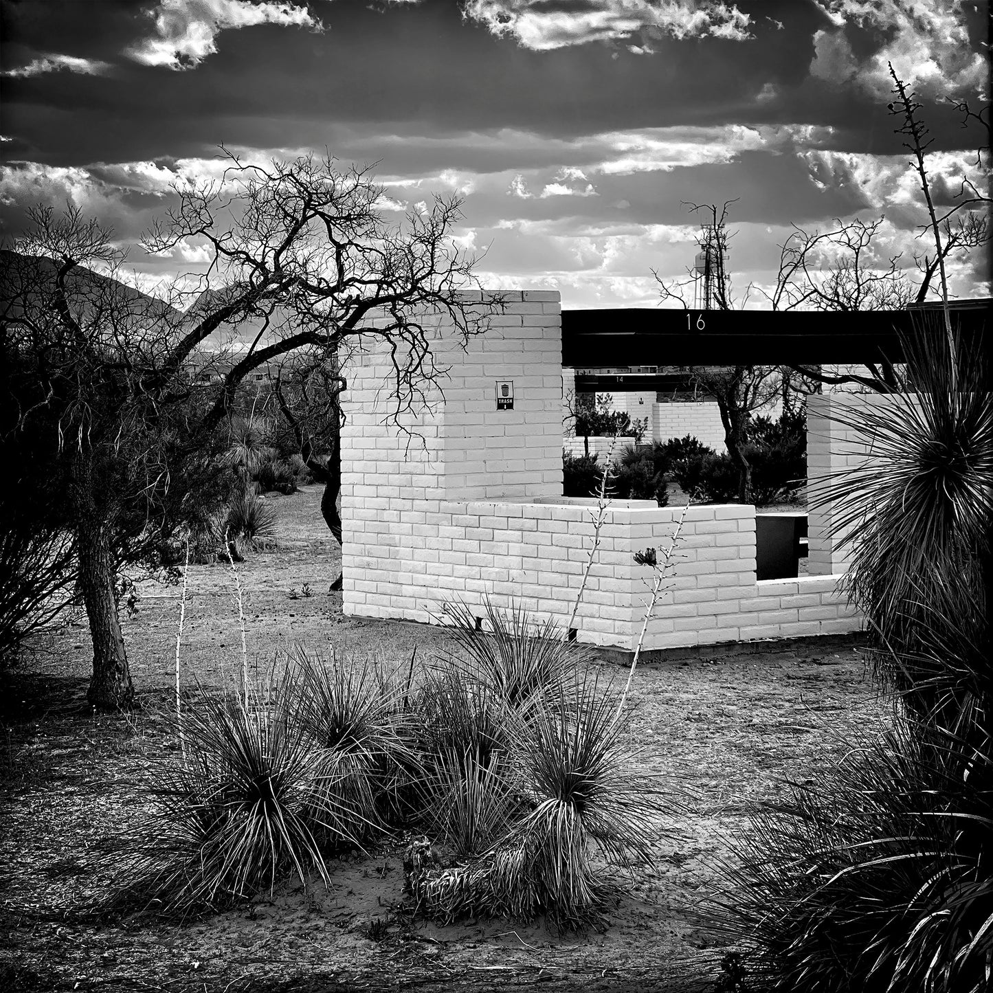 Somewhere in New Mexico #5