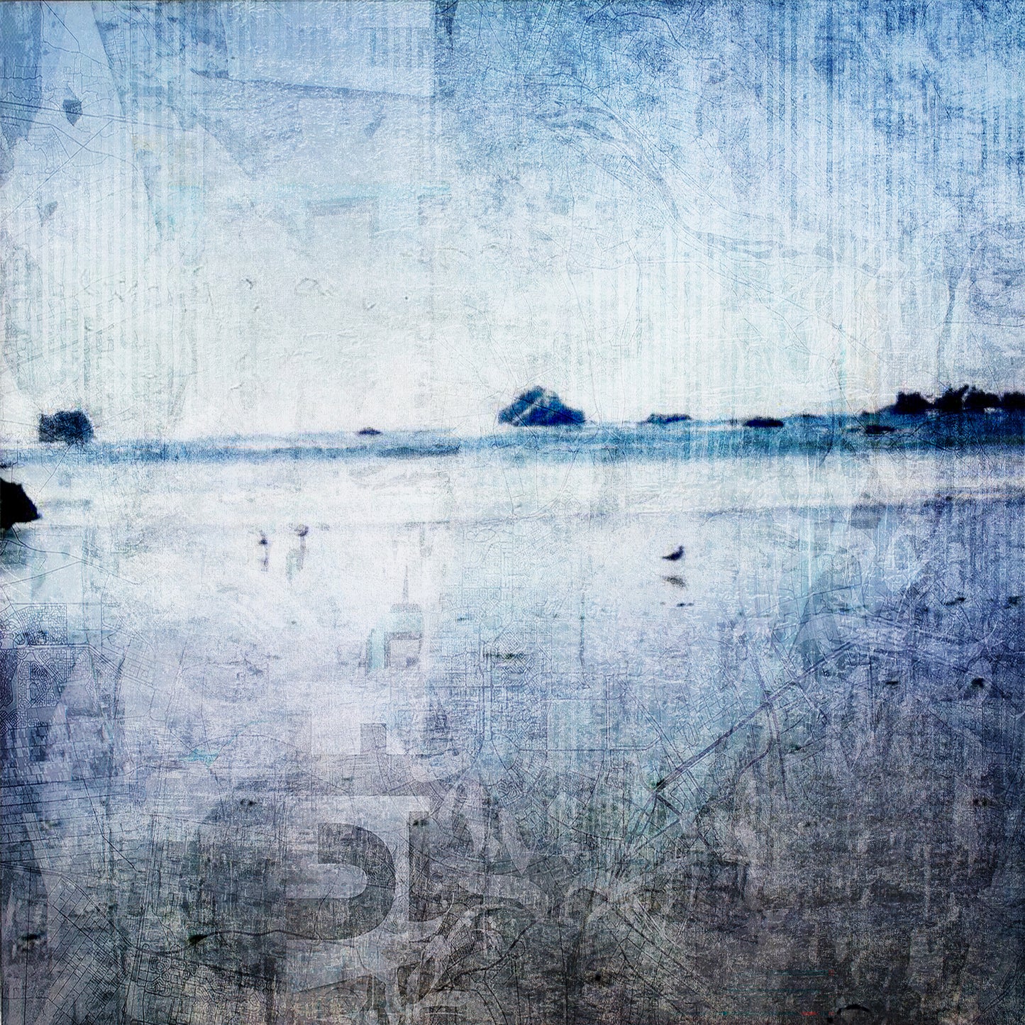 Birds and Water