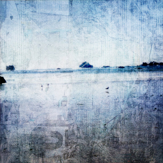 Birds and Water
