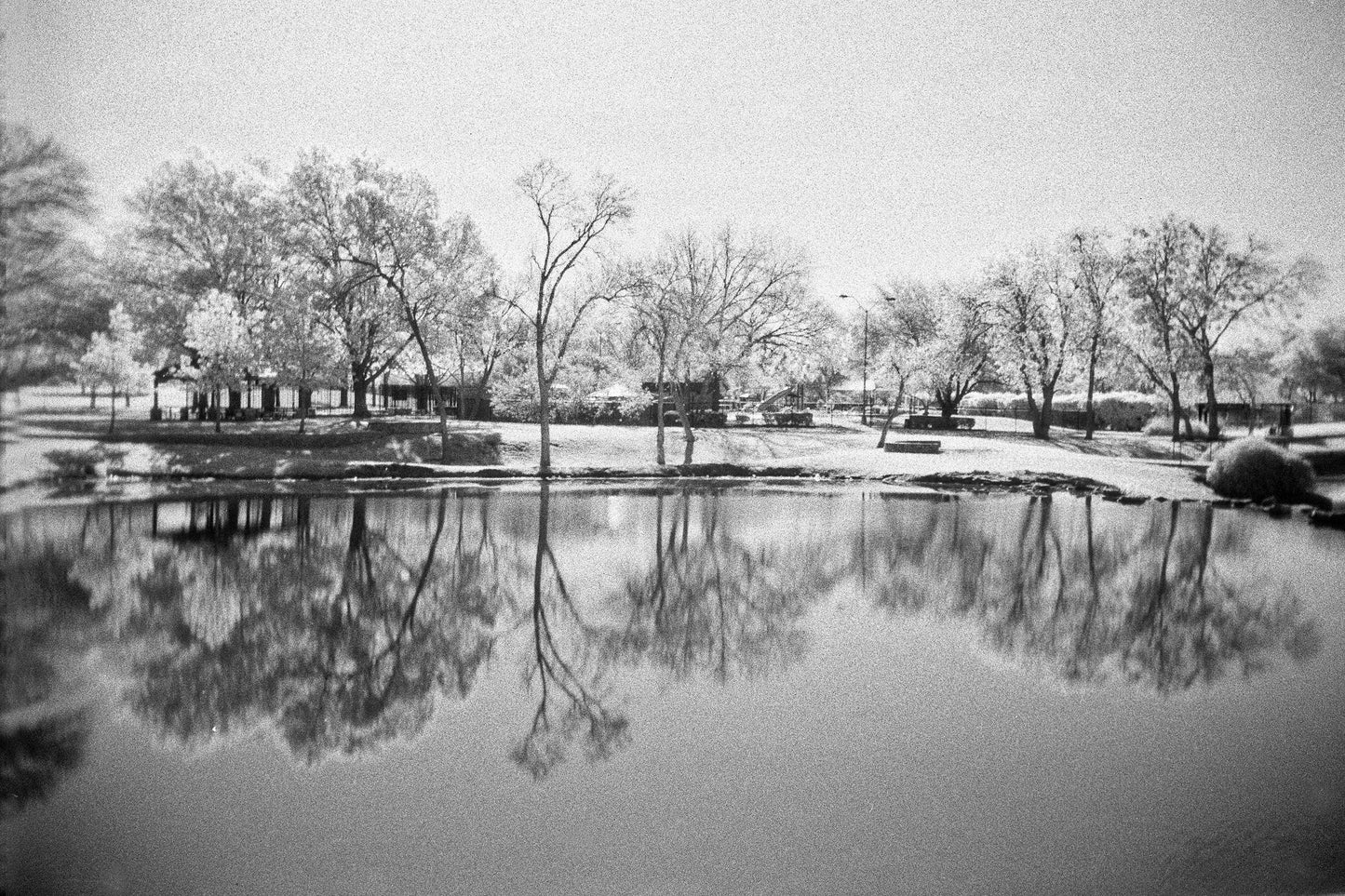 Reflections