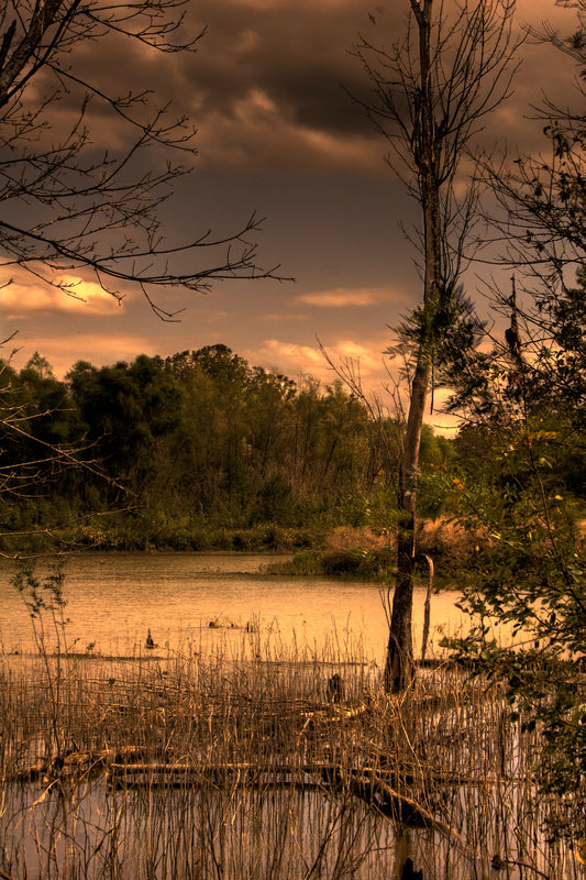 Coming Storm