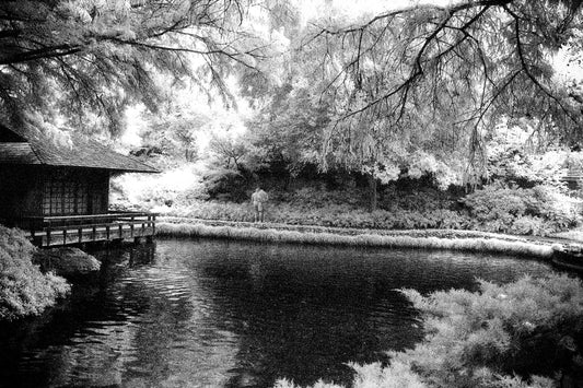 On The Pond
