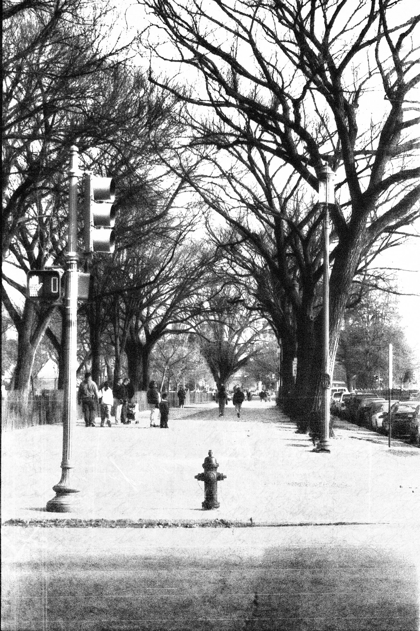 City Streets - D.C.